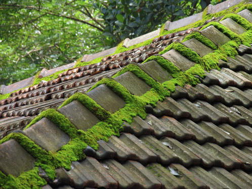 Démoussage de toiture dans l'Essonne