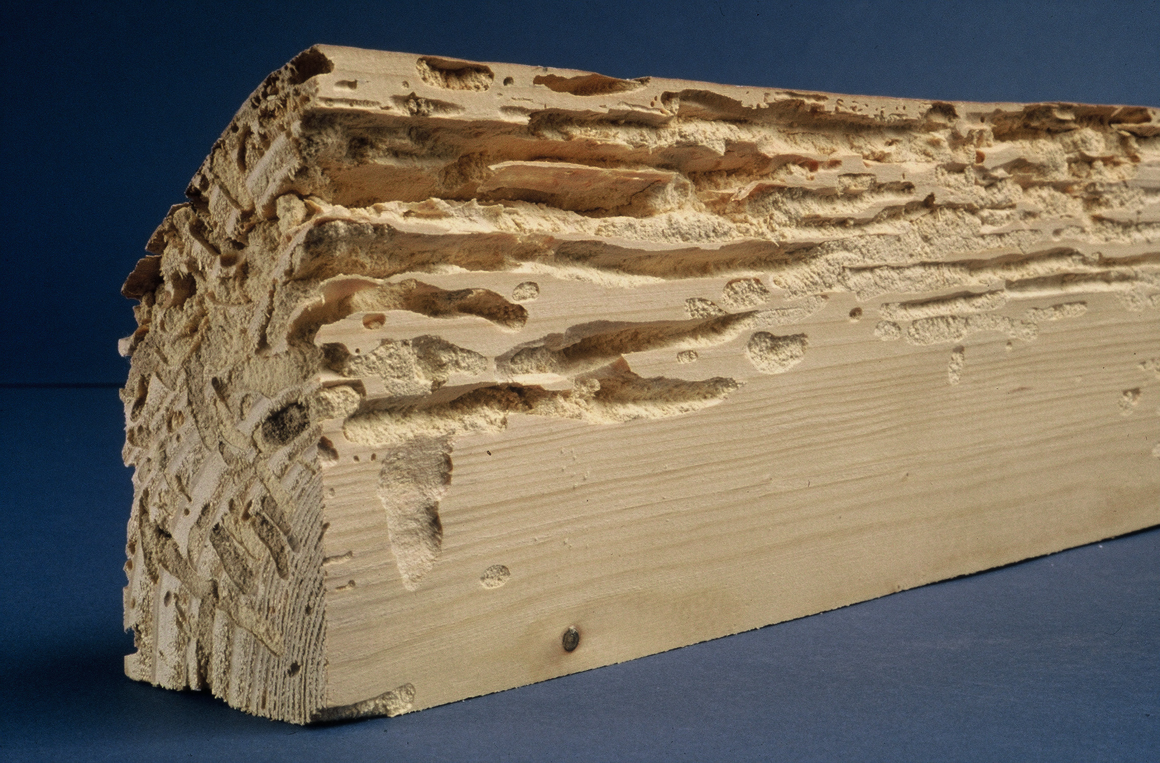 Traitement de charpente, bois à Évry
